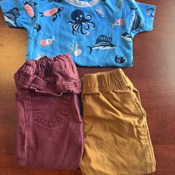 Carter's Burgundy and Mustard pants with sea creatures shirt Size 2T