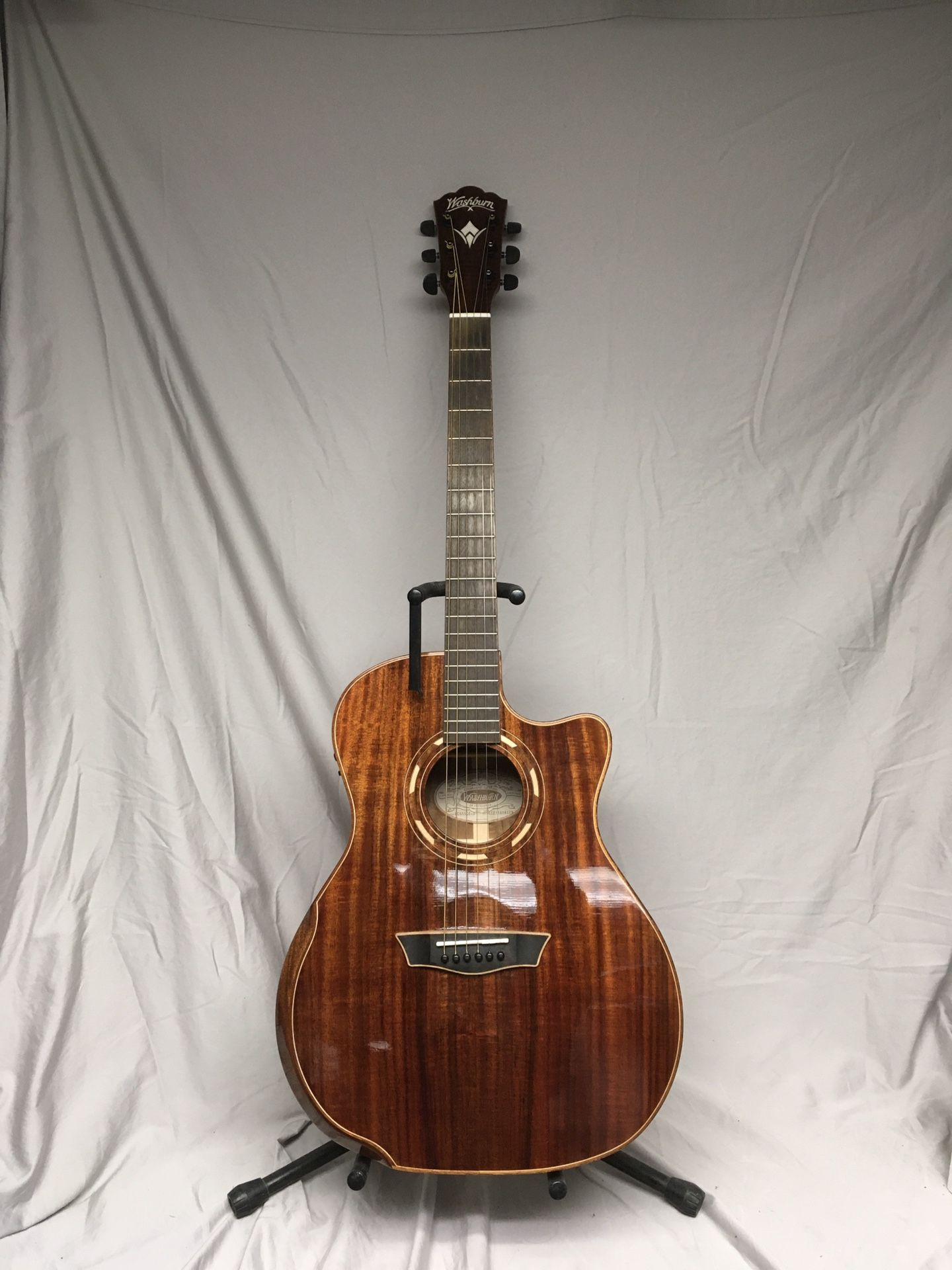 Washburn Guitar