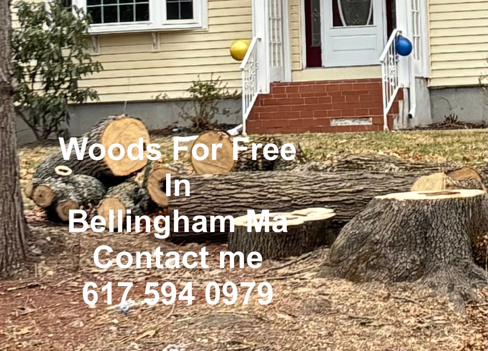 Woods For Free