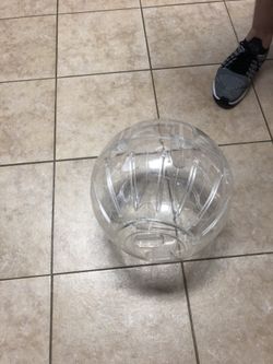 14” small animal ball