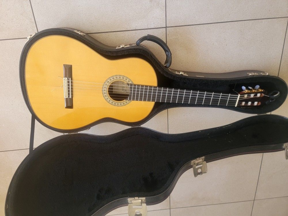 Flamingo guitar