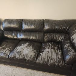 Free Leather Couch