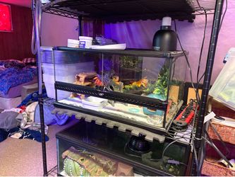 Front opening terrariums