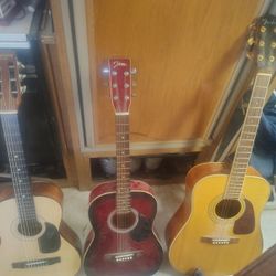 Acoustic Guitars 