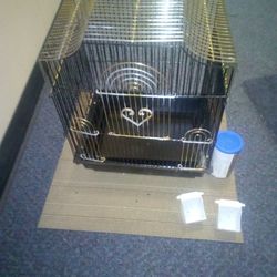 Parakeet Cage. 