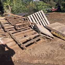 Free Pallets. Must Take All!