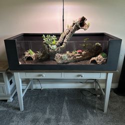 Reptile Enclosure 