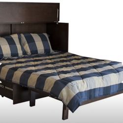 Cabinet/Desk Fold-away Bed
