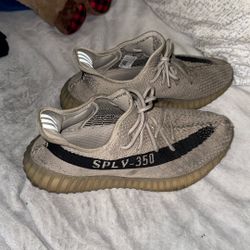 Size 11 Yeezy