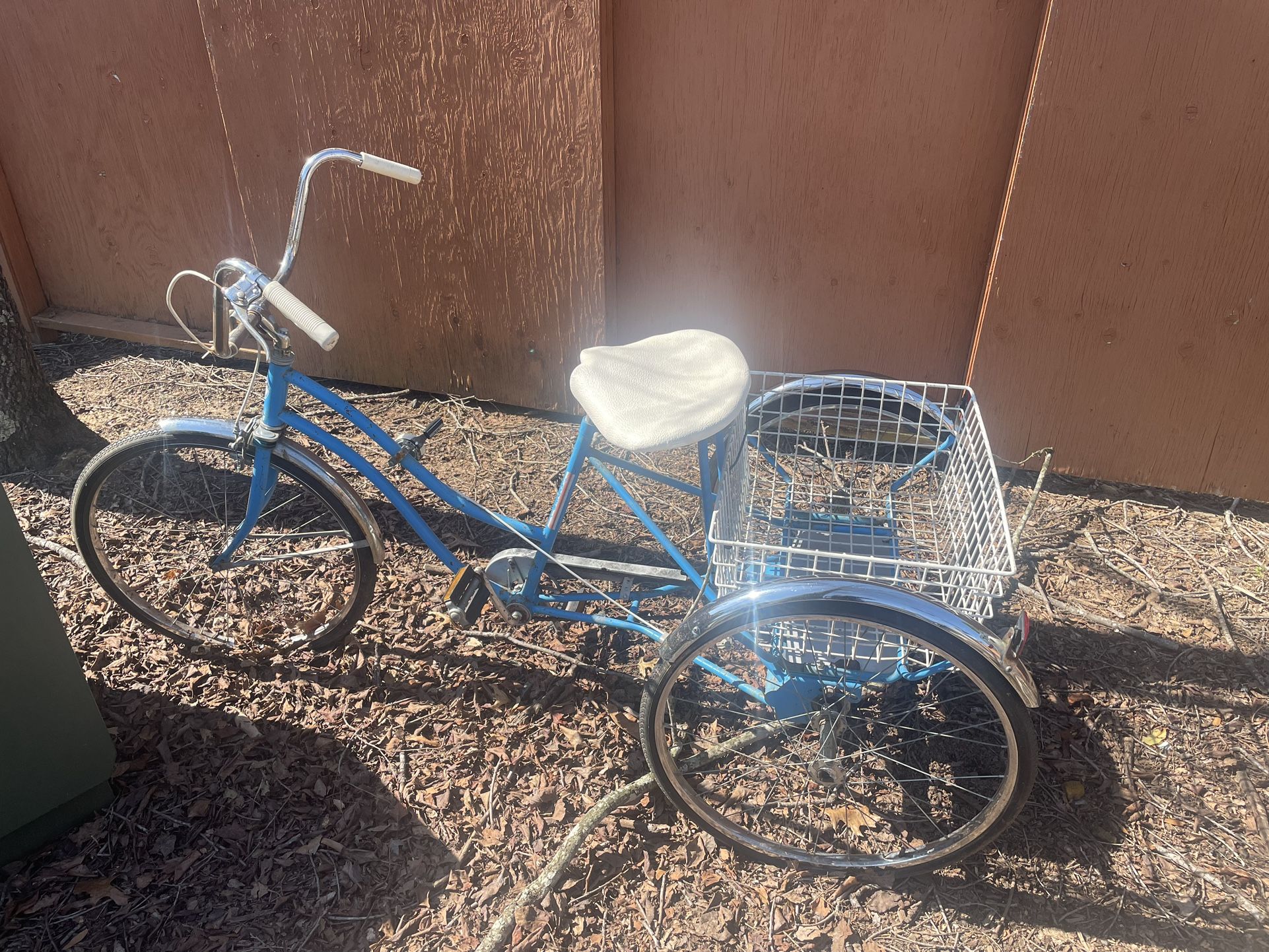 Adult Tricycle 