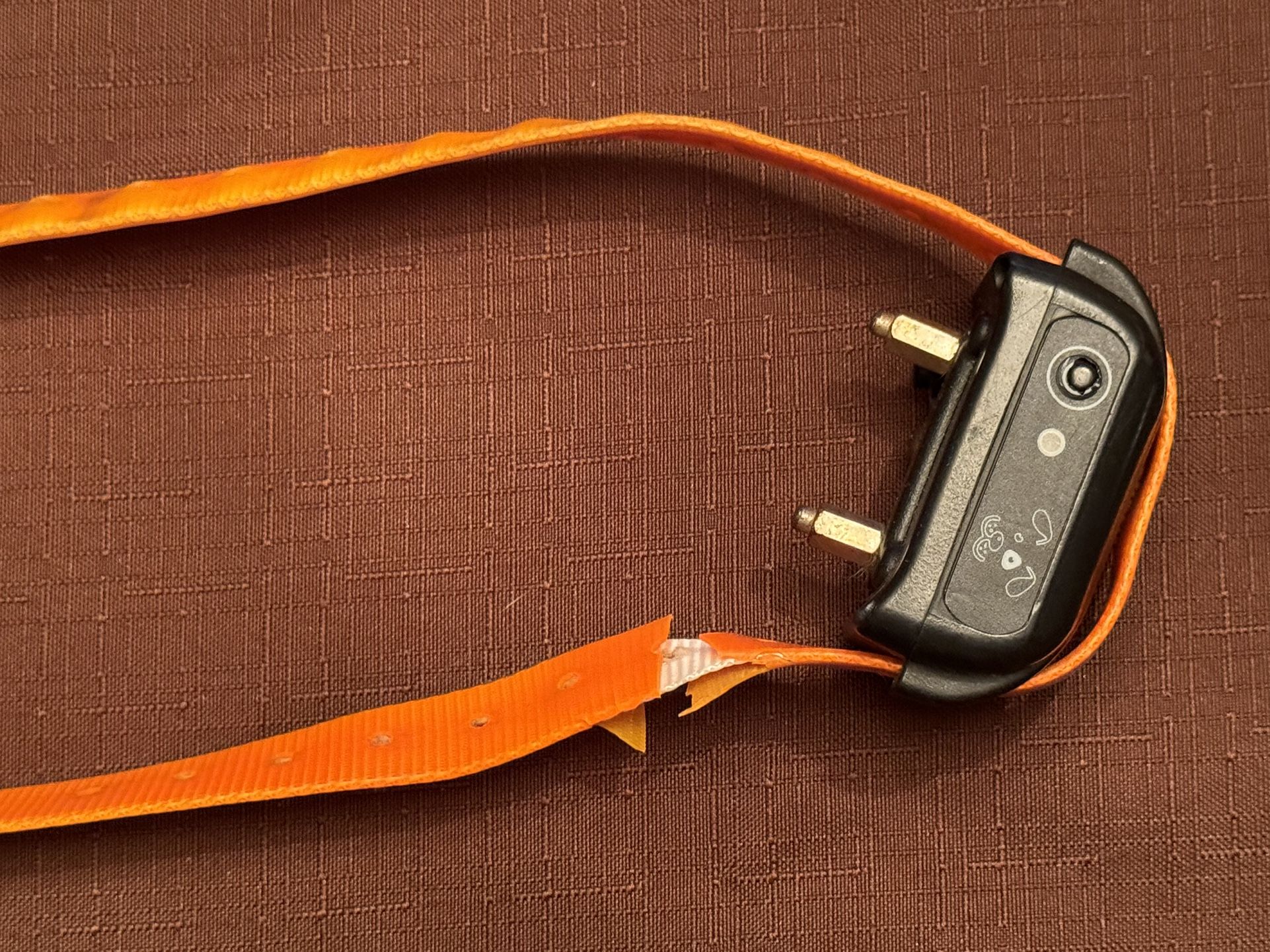 Dog Training Collar