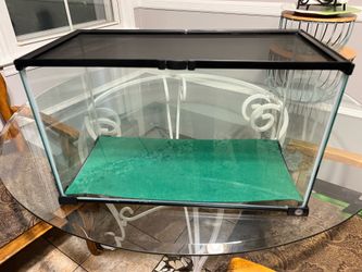 Thrive 10 Gallon glass Terrarium
