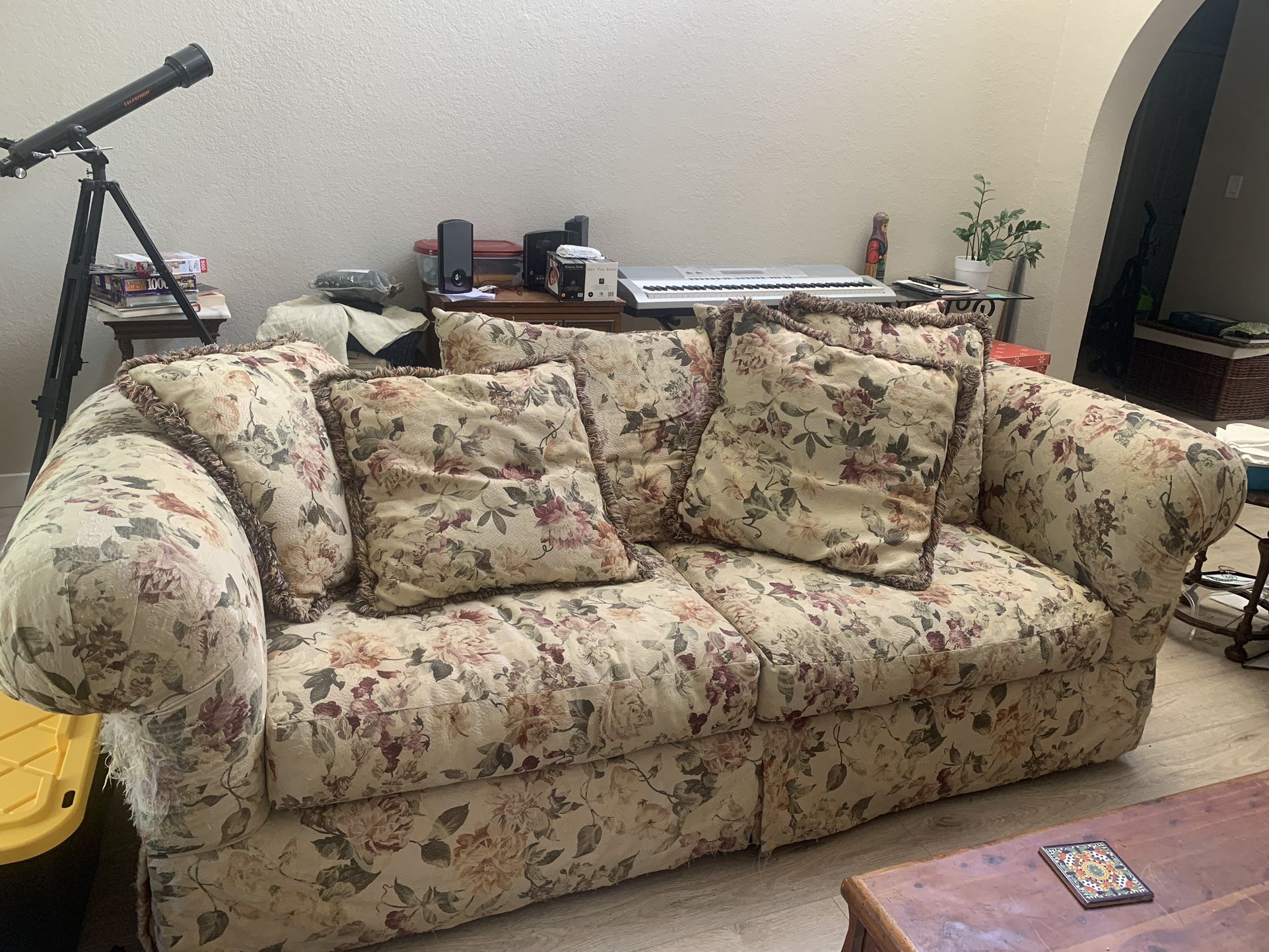 Loveseat Couch