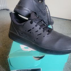 Nyjah Huston SB Shoe