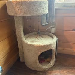 Cat Tree