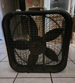 Fan