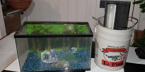 Fish Tank