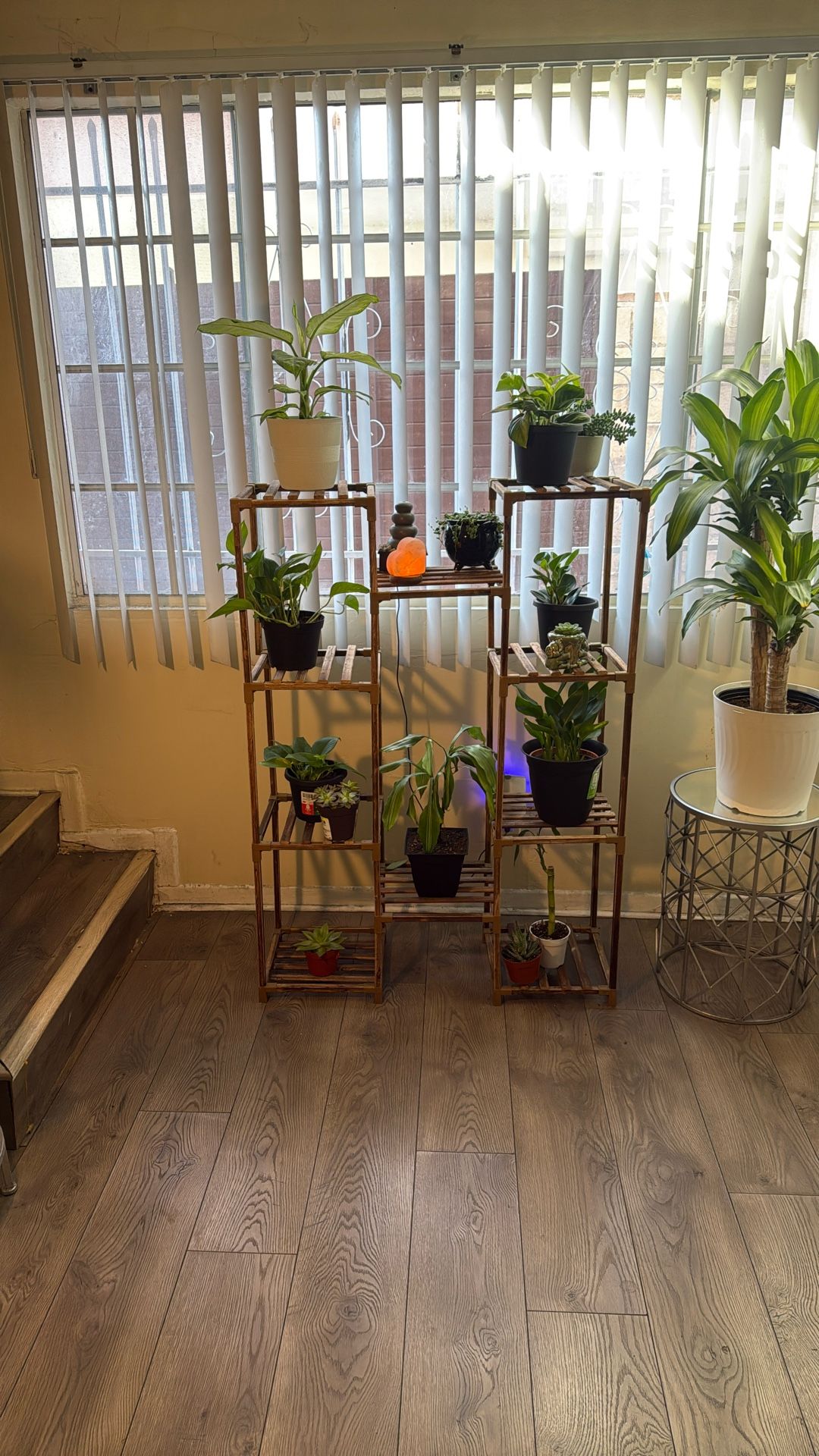 Plant Stand