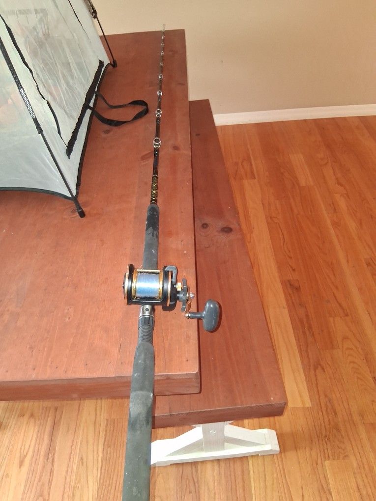 Saltwater Fishing Rod And Reel
