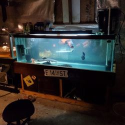 125 Gallon FISH Tank 