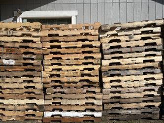 Wood Pallet For Sale
