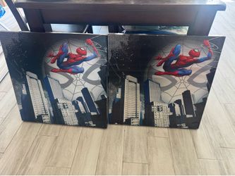 Spider-Man canvas