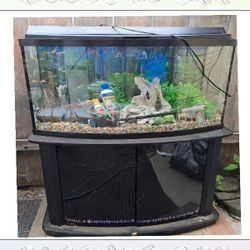 Fully-Loaded Aquarium Set - Dive into Underwater Beauty garden surface