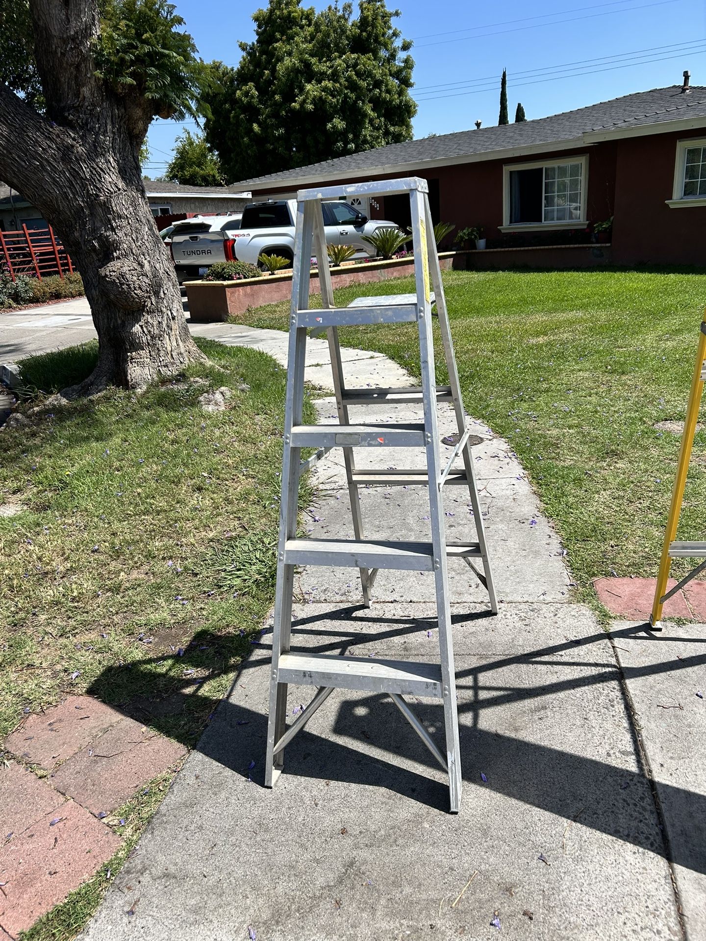 Ladder 5 Ft
