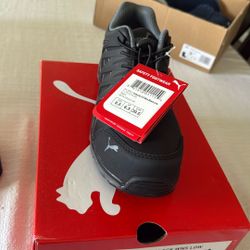 Pumas 