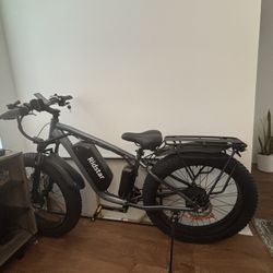 ridstar electric bike