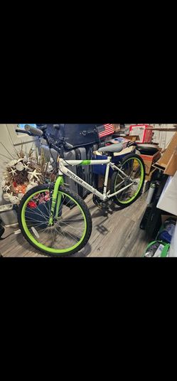 Mountain Bike– BRAND NEW, Collector’s Edition! 🚲🔥