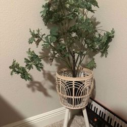 Decorative Plant With Wicker Basket