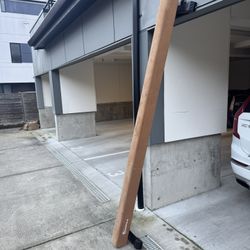 Balance beam for Gymnastics- FREE