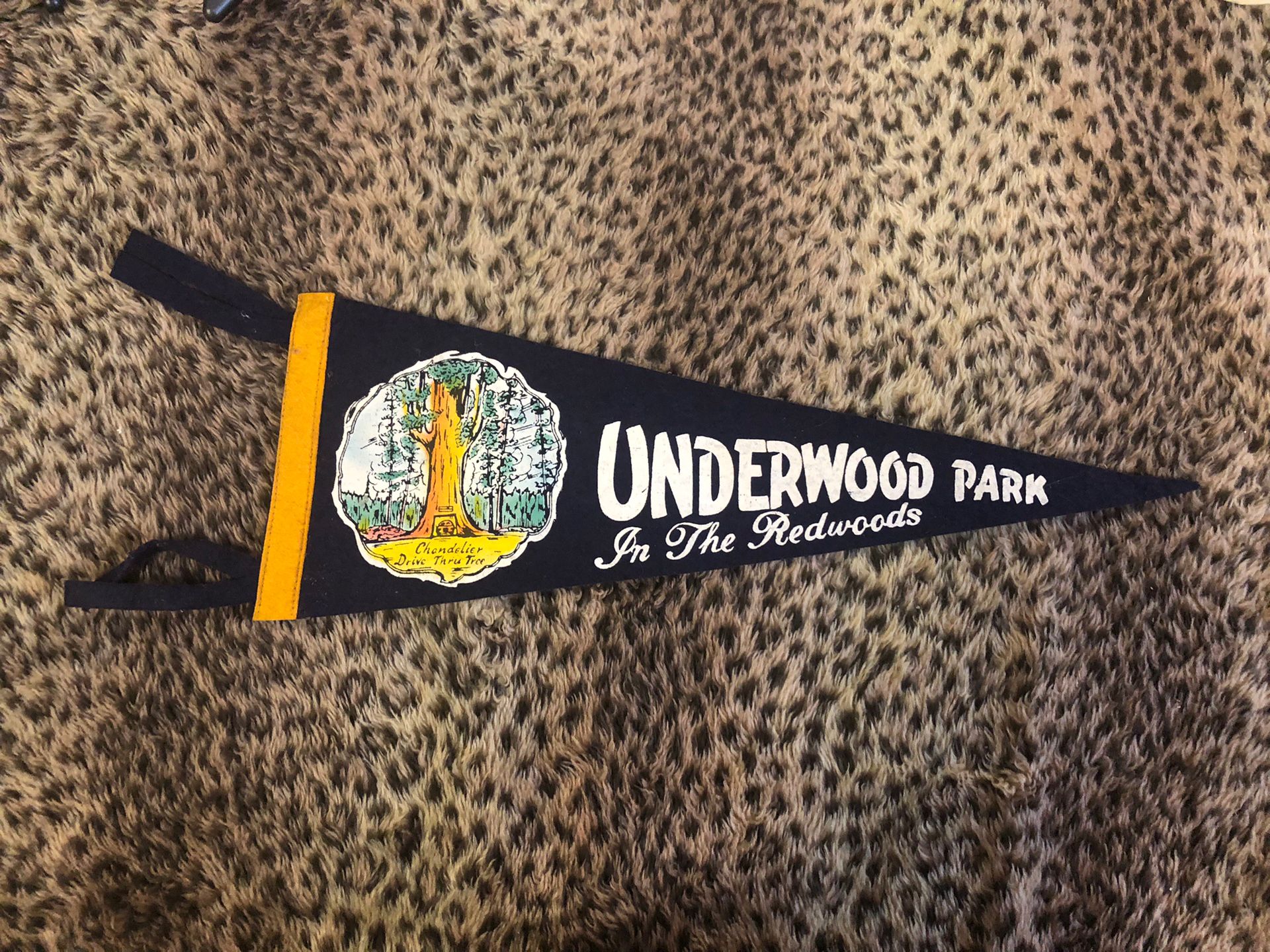Vintage Pennant In The Redwoods Underwood Park