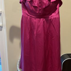 Pink Silk Betsy Johnson Dress