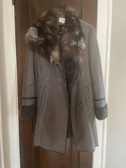 Grey Cool With Brown Fur