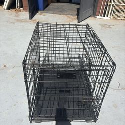 Animal Kennel 