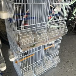 Bird Cage/canaries