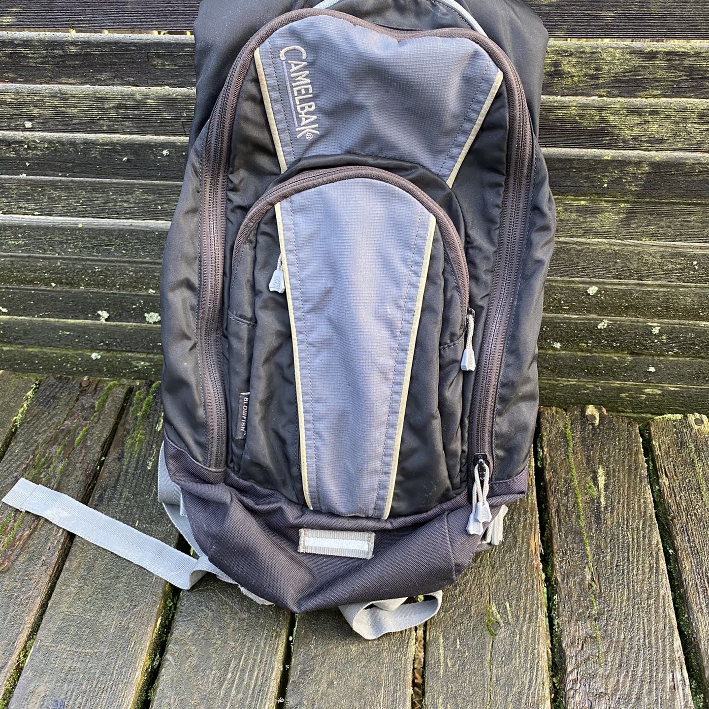 Camelback blowfish Backpack