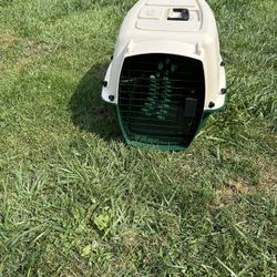 Dog Kennel
