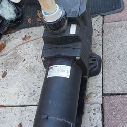 Weg Pool Pump