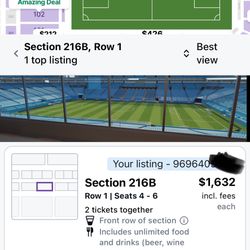 Soccer VIP Miami Vs Palmeiras