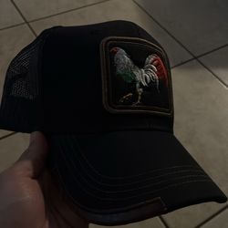 Rooster hat gallo fino
