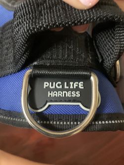 Pug life dog collar harness, blue small new