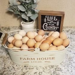 Fresh Farm 🥚