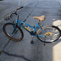 Bike 16 Speed Rayleigh 