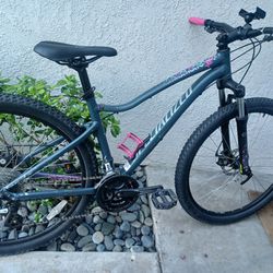 Specialized 27 In Jynx Mtn Bicycle 