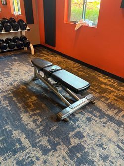 Life Fitness  Signature Adjustable Bench 3 Available 