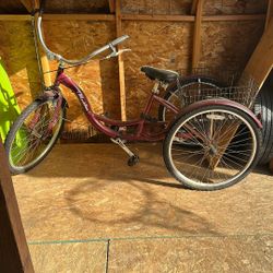 Adult Tricycle 