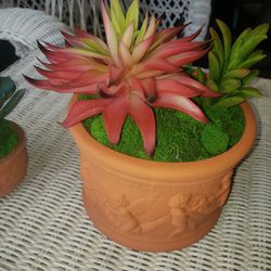 Faux Succulents In Ceramic Pots